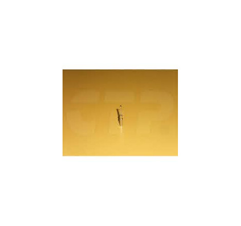 PIN