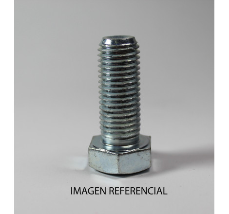 BOLT-12 POINT HEAD